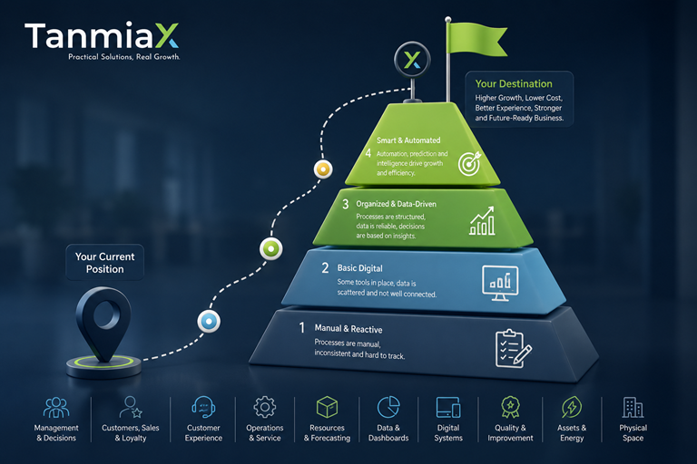 Four-level business digitalization maturity roadmap by TanmiaX